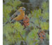 Walsh "Crossbill"